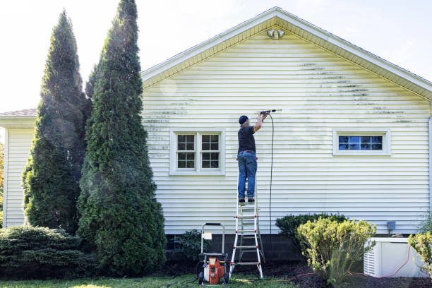 Best Building Exterior Pressure Washing in Springdale, SC